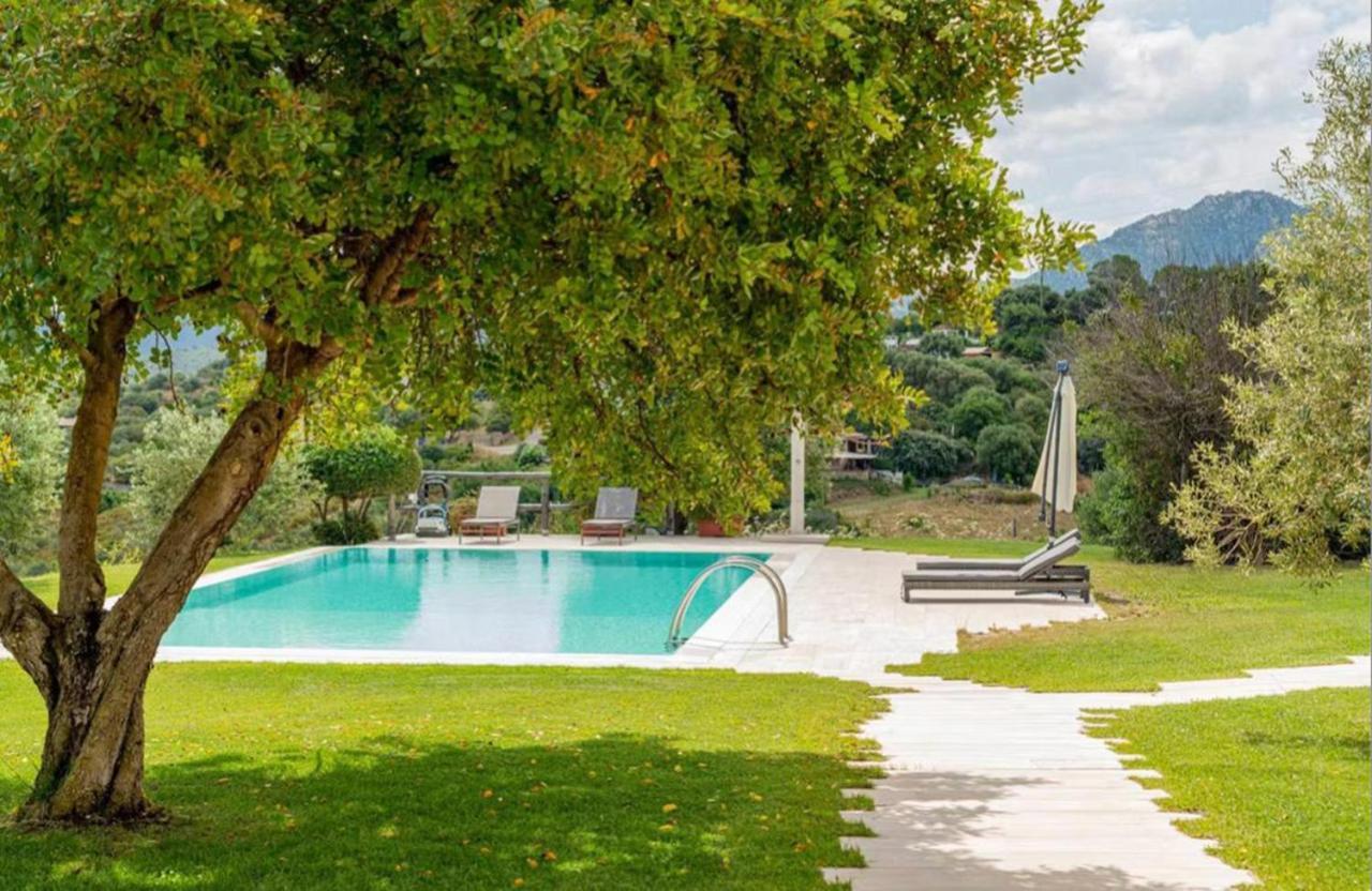 Villa Alba Esclusiva Villa Con Piscina A Sfioro E Vista Mozzafiato Sul Mare Кугнана Екстер'єр фото